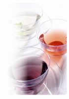 �����A���N���A���N�A�����A�y�b�g�A���A�L�A�T�v�������g�A�V�����v�[