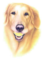 �����A���N���A���N�A�����A�y�b�g�A���A�L�A�T�v�������g�A�V�����v�[